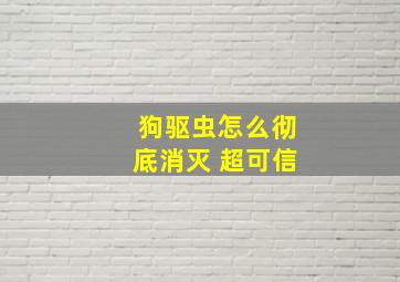 狗驱虫怎么彻底消灭 超可信